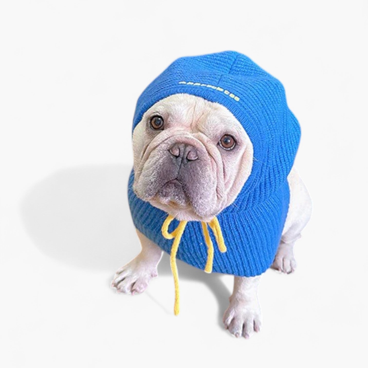Fashion-Forward Wagloom Frenchie Knitted Snood Hat – Colorful Soft Wo...