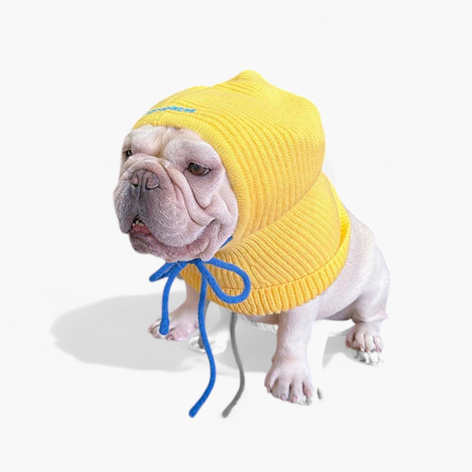 Frenchie Knitted Snood Hat – Colorful Soft Wool Dog Hat Outdoor Style