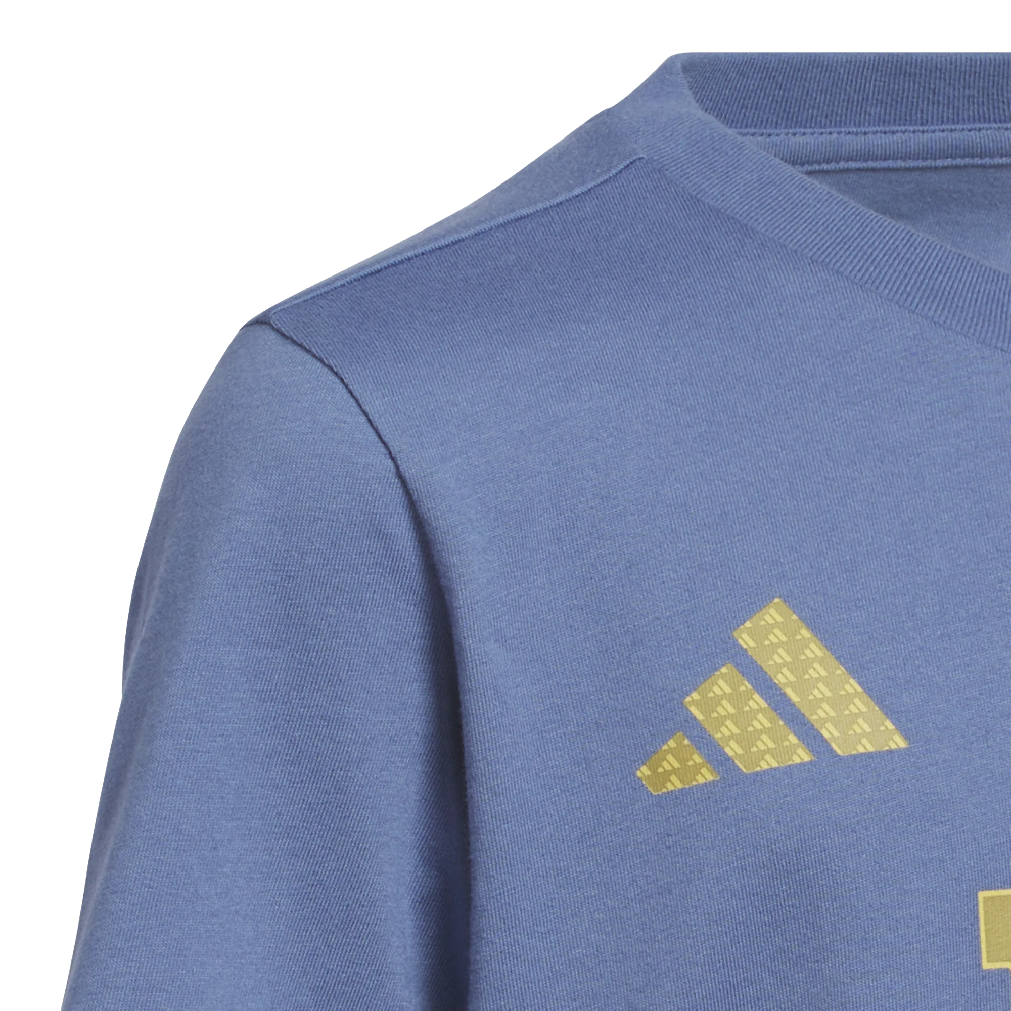 Argentina National Team 2024-2025 Season Third Shirt –  Edition XS