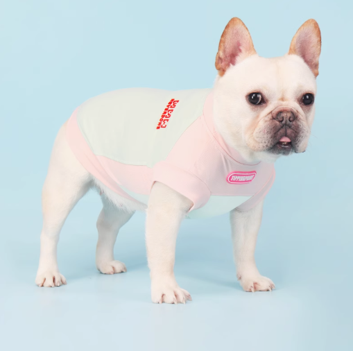 French Bulldog Summer Vest – Elastic Breathable UV Bug Protection Clothes
