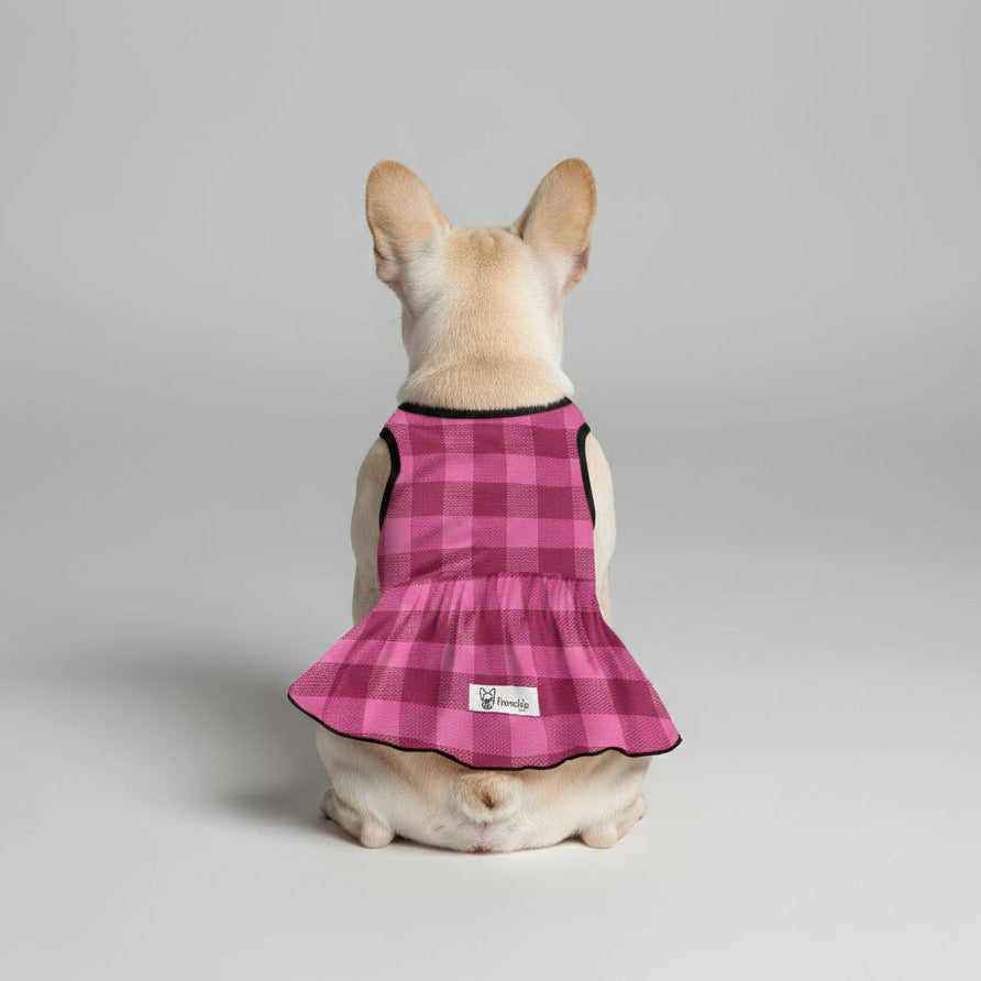 French Bulldog Giannaya French Bulldog Dresses For Females Durable Dog Item