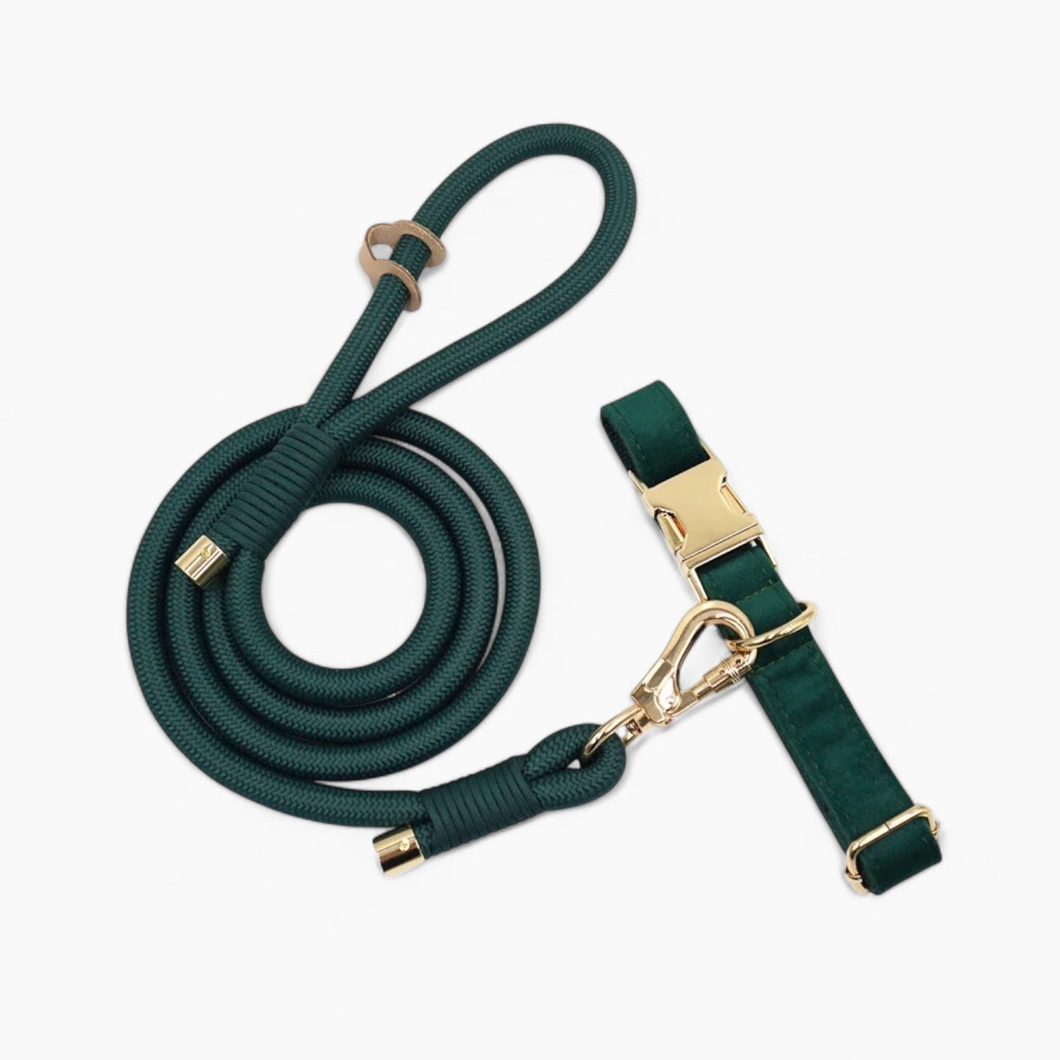 And Leash Set – Soft Adjustable And Custom Engraved For Frenchie Pups