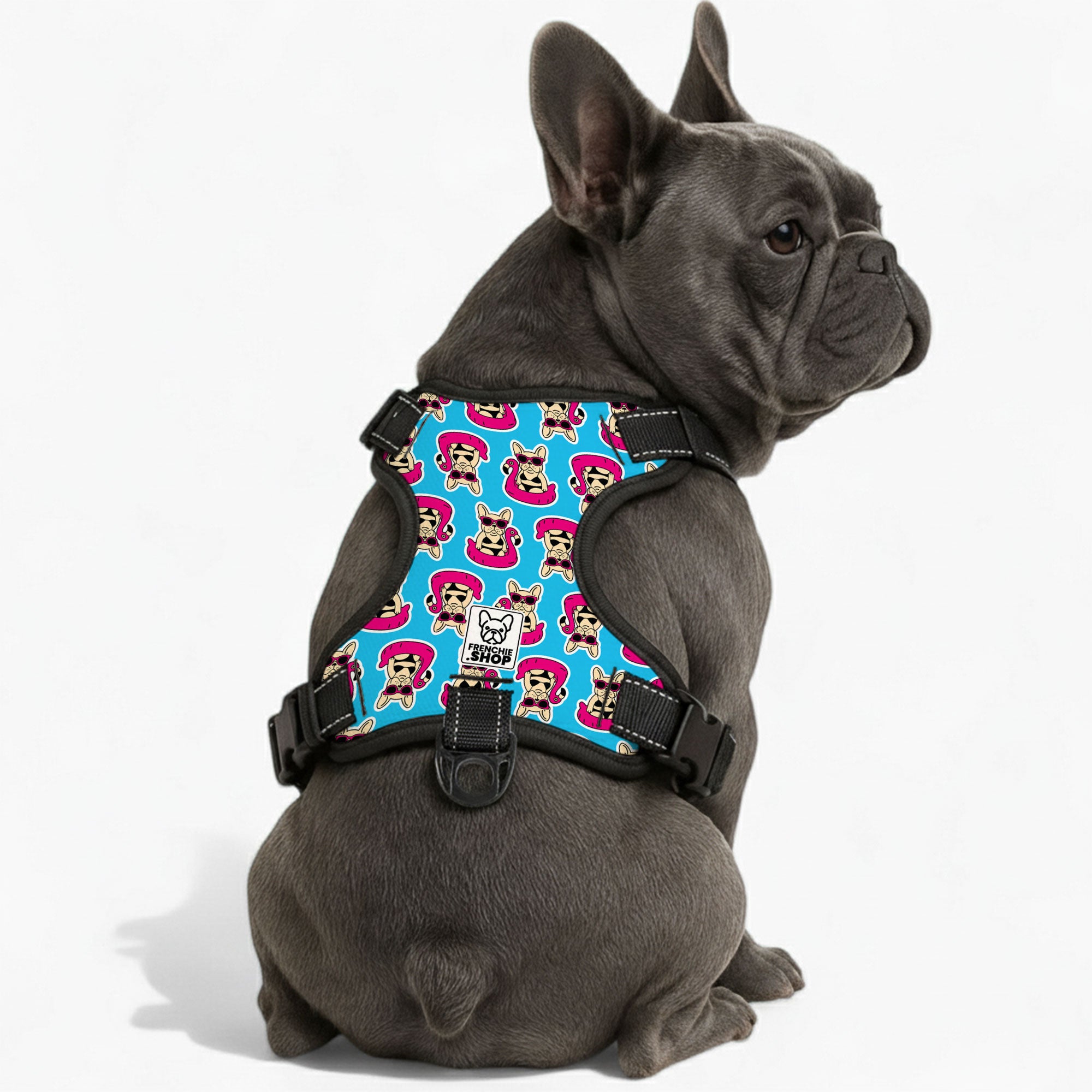 Comfort-Optimized Papillon - No-pull French Bulldog Dog Harness for F...
