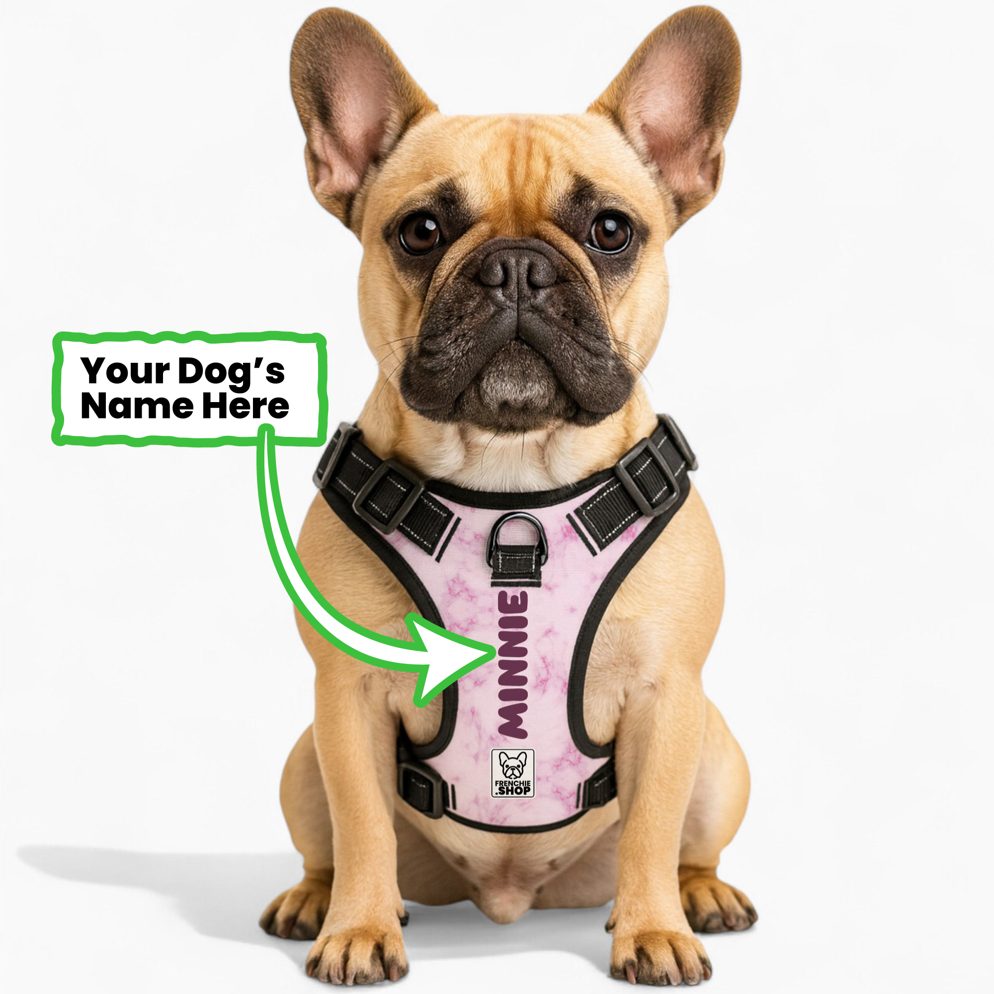 No-pull French Bulldog Dog Harness Indoor Use | Durable Build
