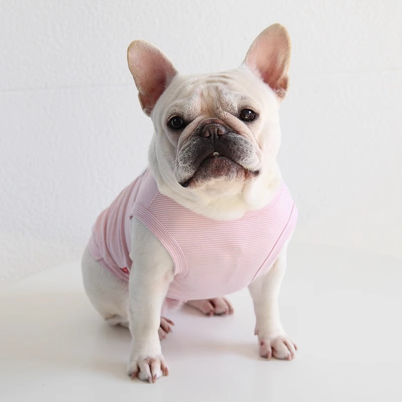 French Bulldog Froztee Frenchie Polar Bear T Shirt – Soft Breathable