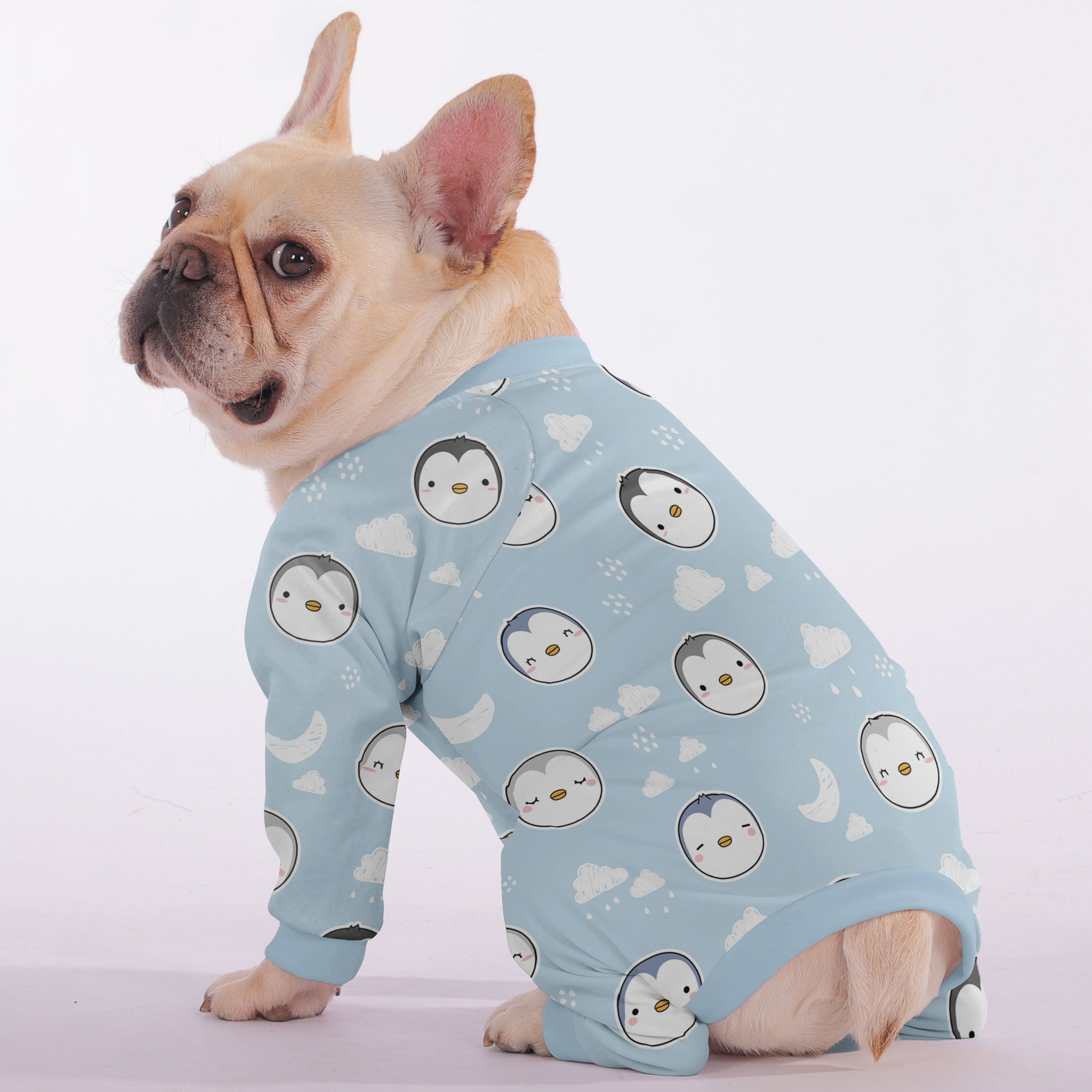 French Bulldog Warm Loy - Warm Frenchie Pajama Paw Protection