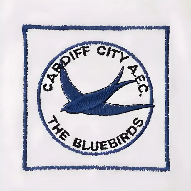 Shrewsbury Town Retro Shirt 1980-1981 edition (Men