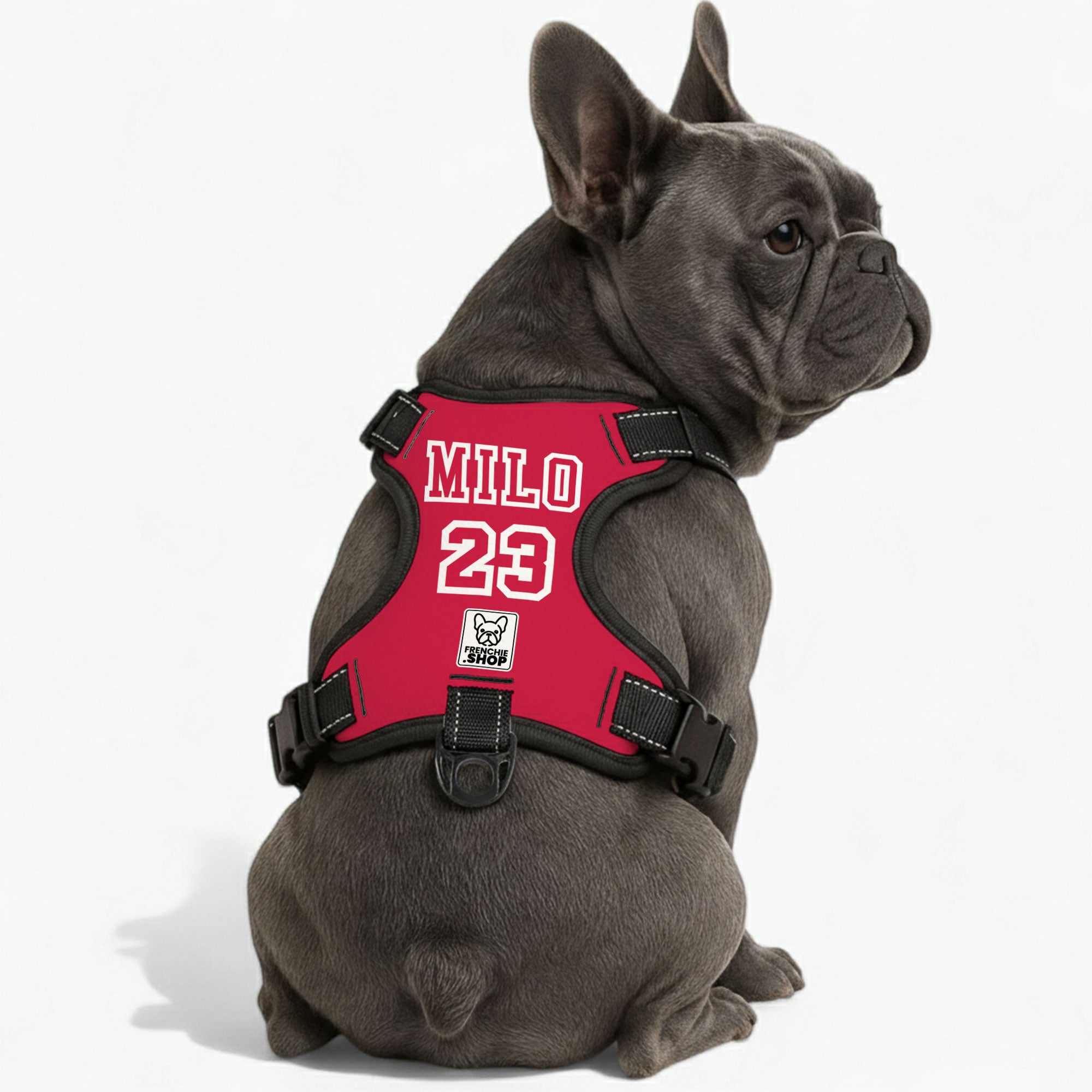 Breed-Designed Magnolia - Personalized No-pull French Bulldog Dog Har...