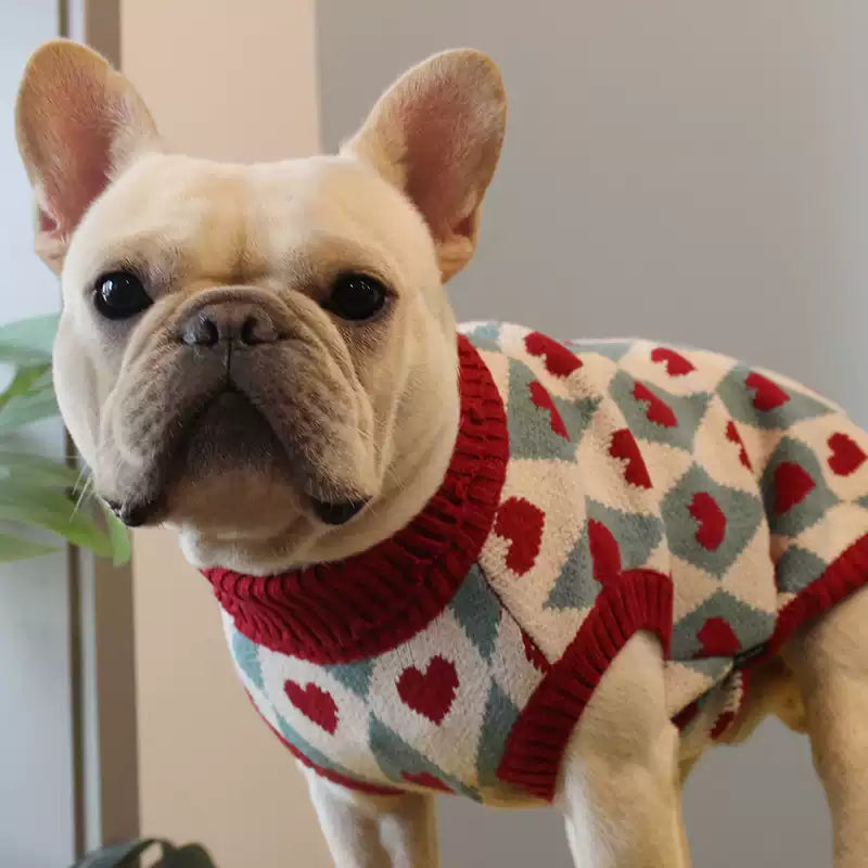 Everyday French Bulldog Knit Sweater – Soft Sleeveless Pullover For S...