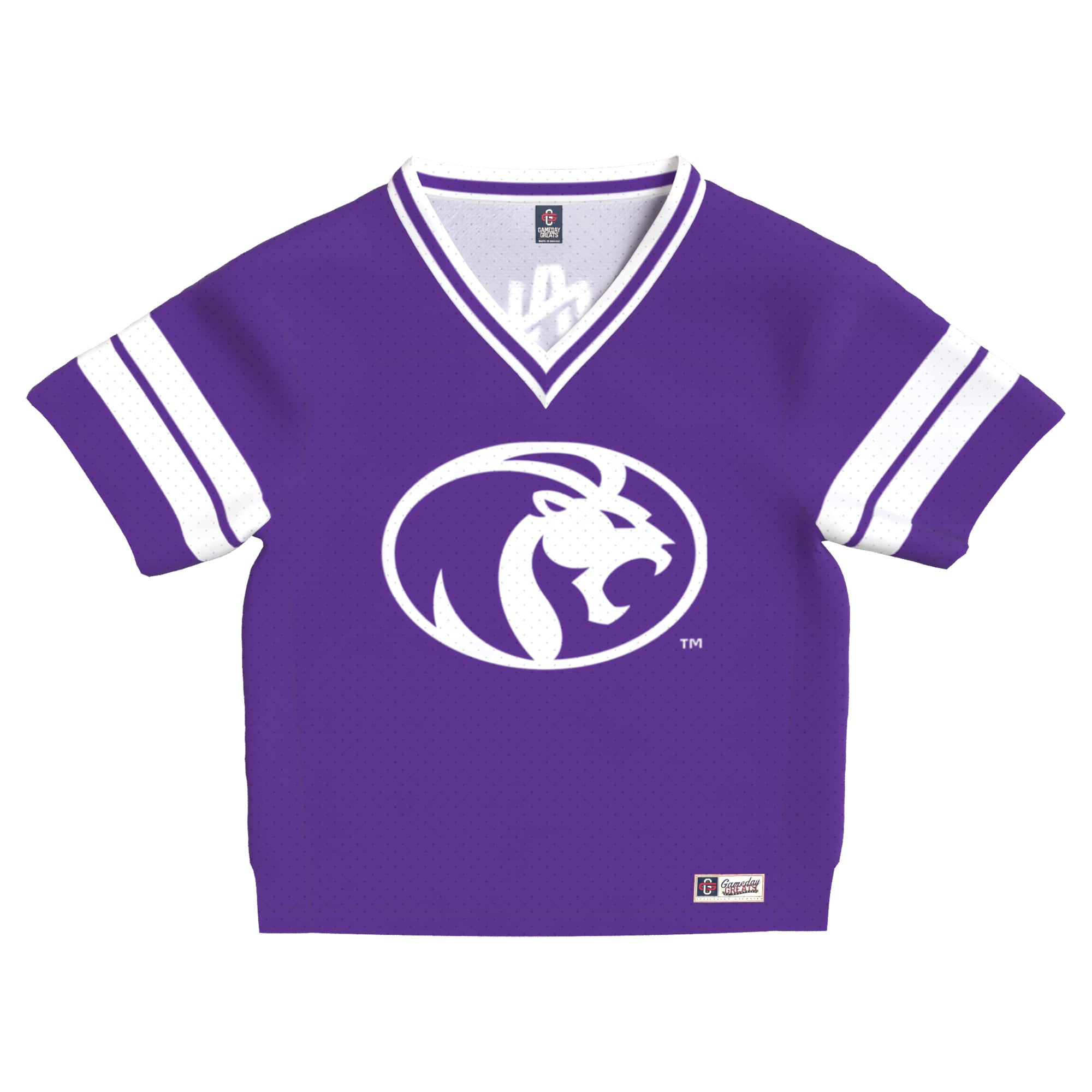 Toddler Purple North Alabama Lions Lightweight Collegiate Football Fashion Jersey