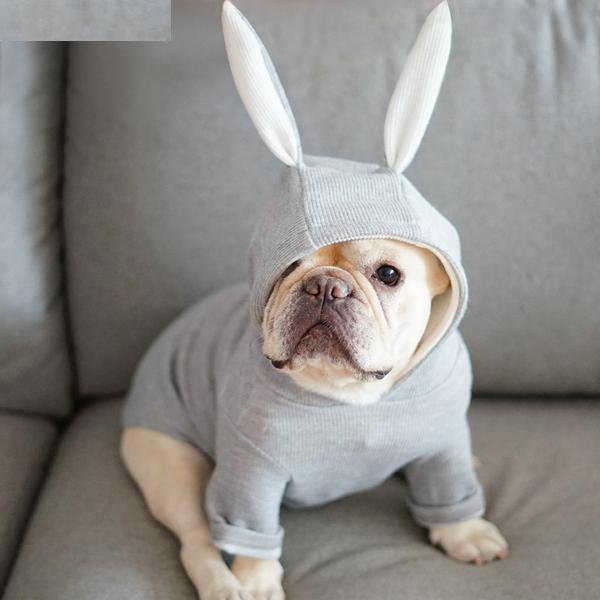 Culture-Inspired Rabbit Hoodie For French Bulldog (ws9) for Everyday