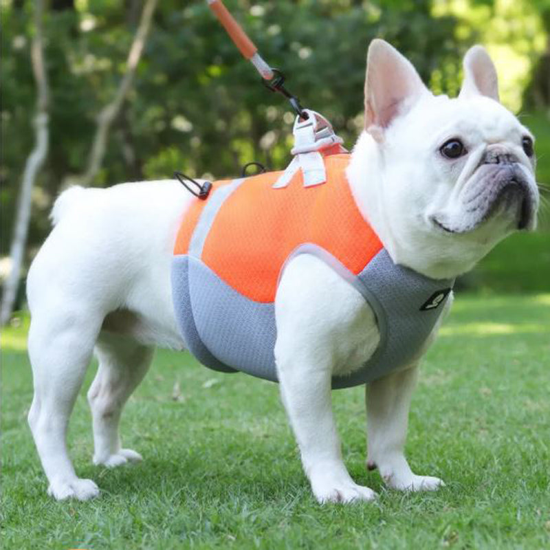 Street-Ready Frenchie Summer Reflective Cooling Vest for Street Style