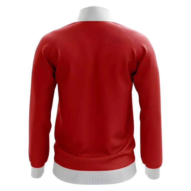 2025-2026 VFB Stuttgart Concept shirt - premium v1.642