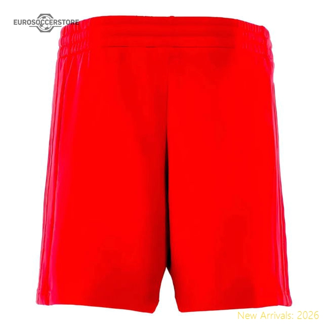 2024-2025 Bayern Munich Dna Shorts (red) - Supporter Edition