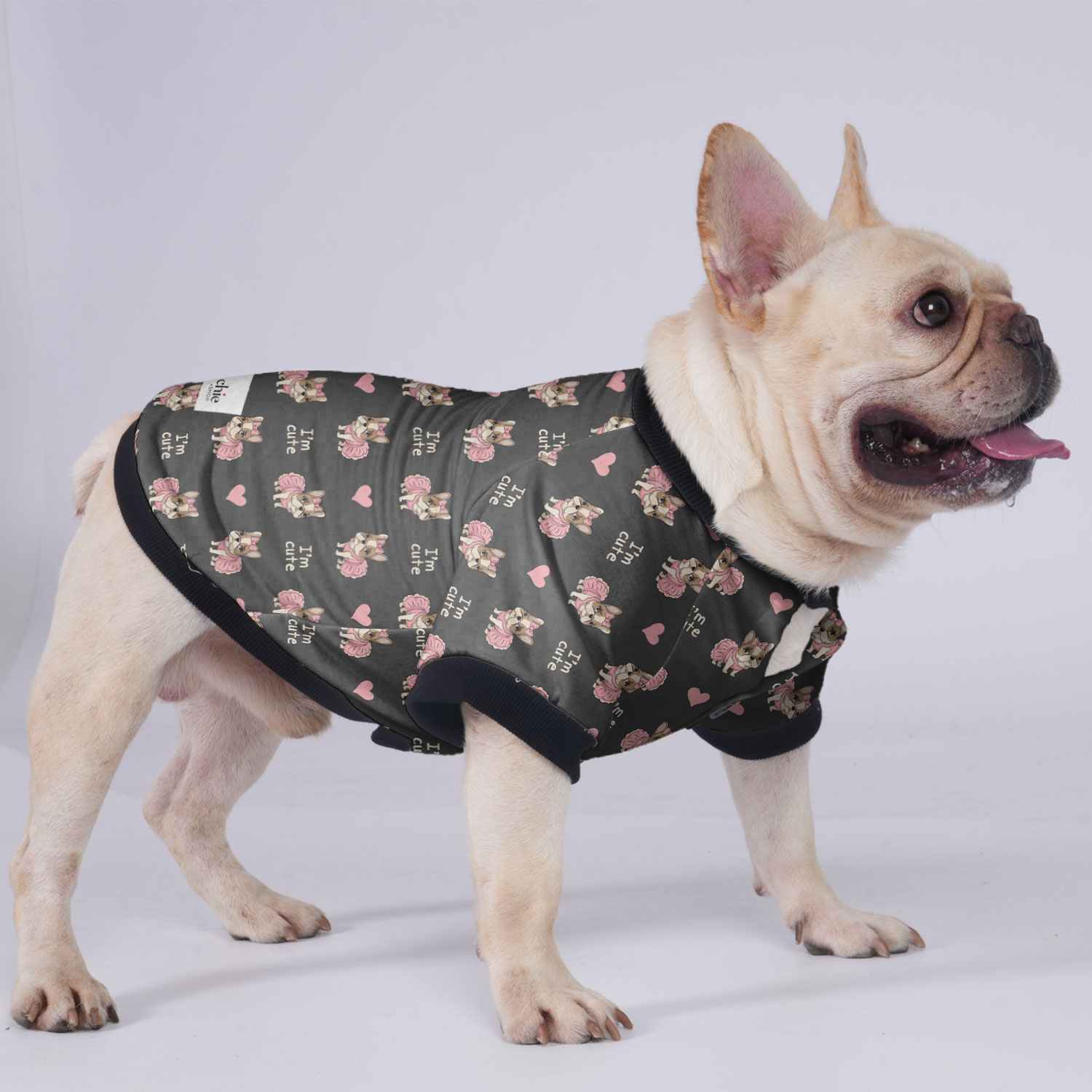 French Bulldog James Jacket For French Bulldog Comfy Pet Outfit