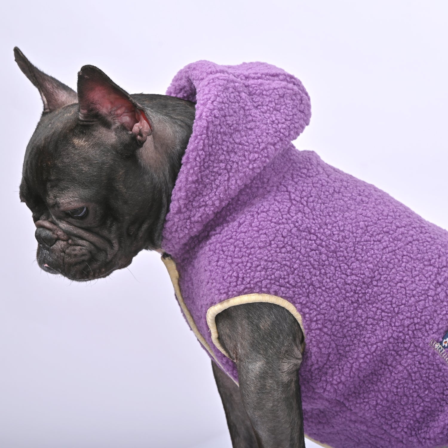 French Bulldog Bulldog Blizzard Warm Fleece Hooded Frenchie Winter