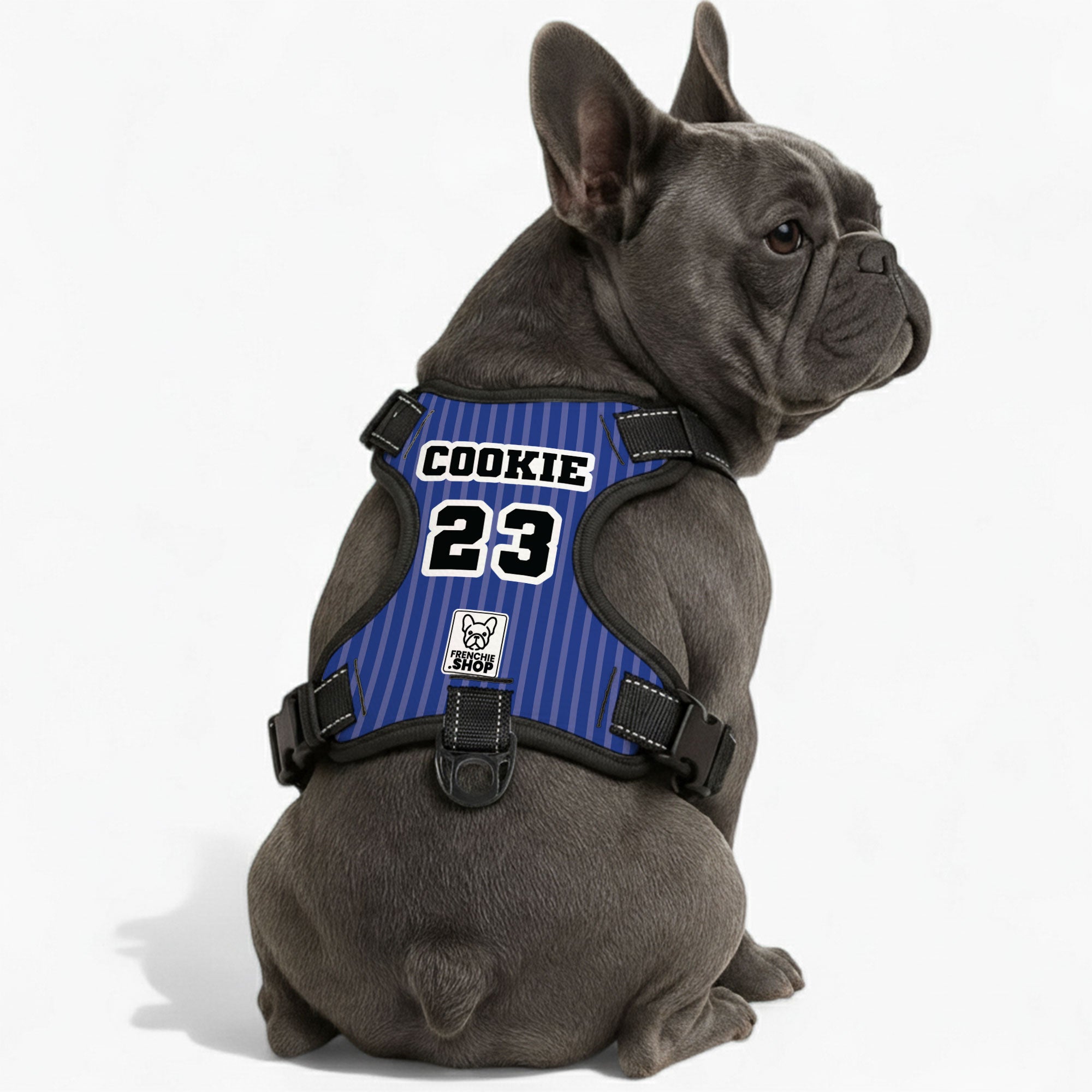 Puppy-Safe Duchess - Personalized No-pull French Bulldog Dog Harness ...