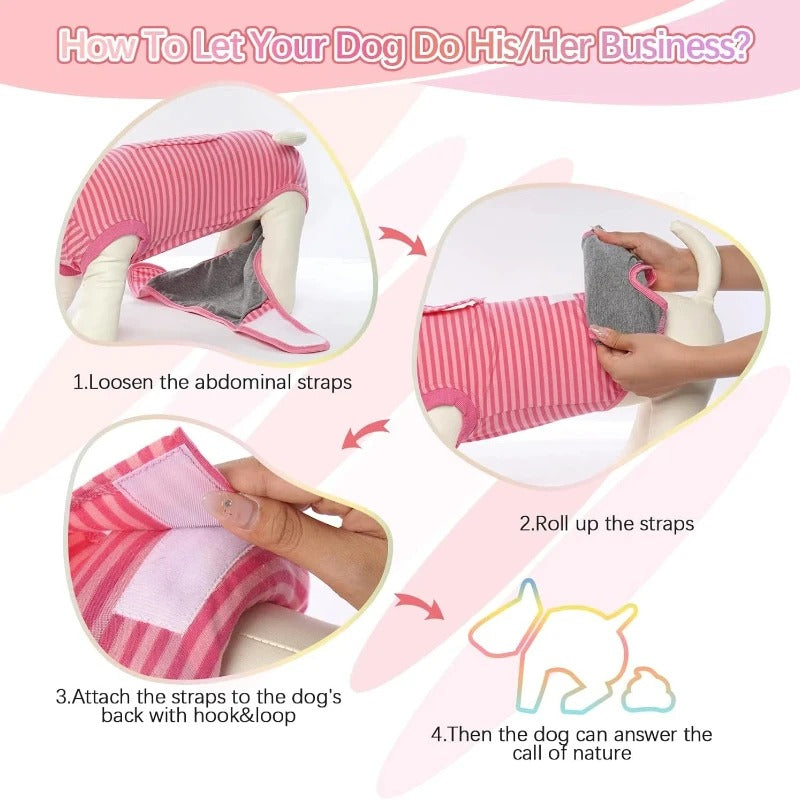 TailSter French Bulldog Bodysuit – Soft Breathable Recovery Suit