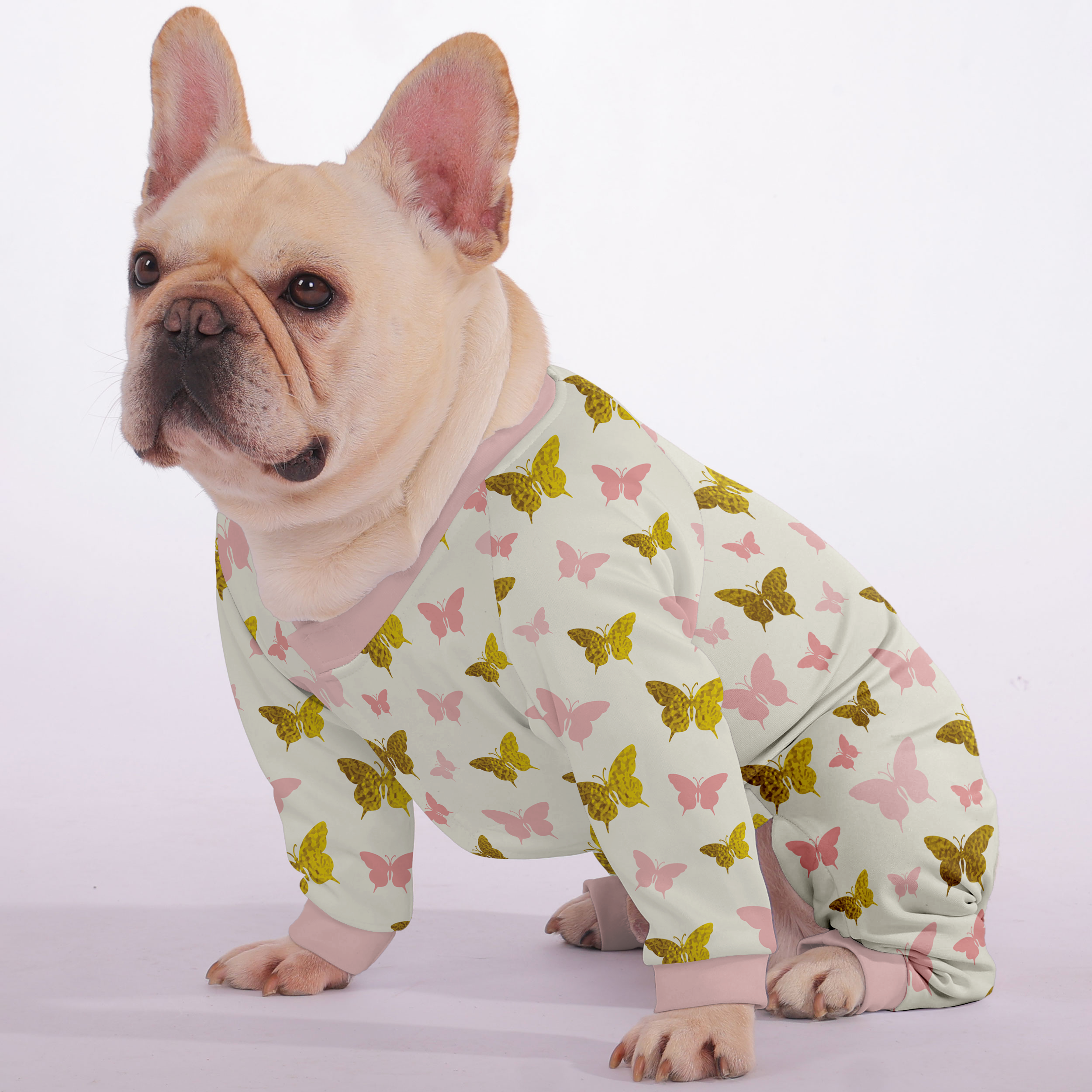 – Ultra-soft, Cozy, & Adorably Stylish Dog Supplies | Comfort Fit