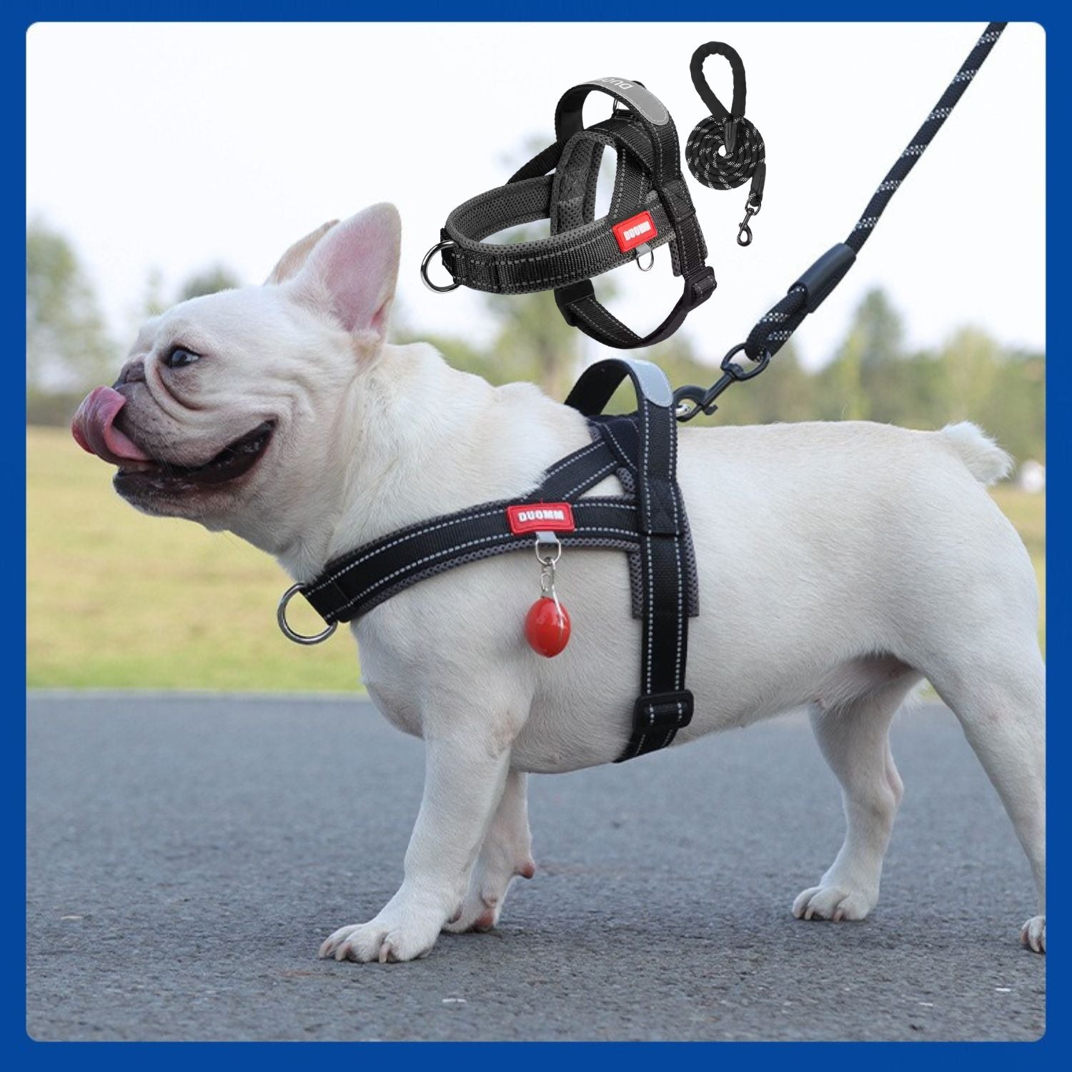 French Bulldog Frenfit Frenchie Harness And Leash Set – No Pull Y