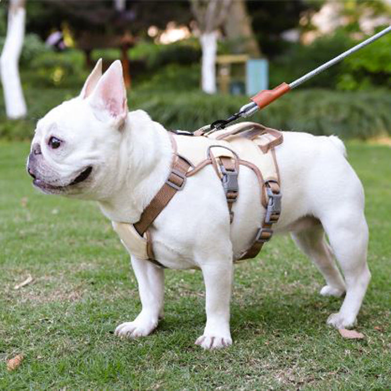 Outdoor-Adventure Premium No Pull Frenchie Harness: Reflective Chest ...