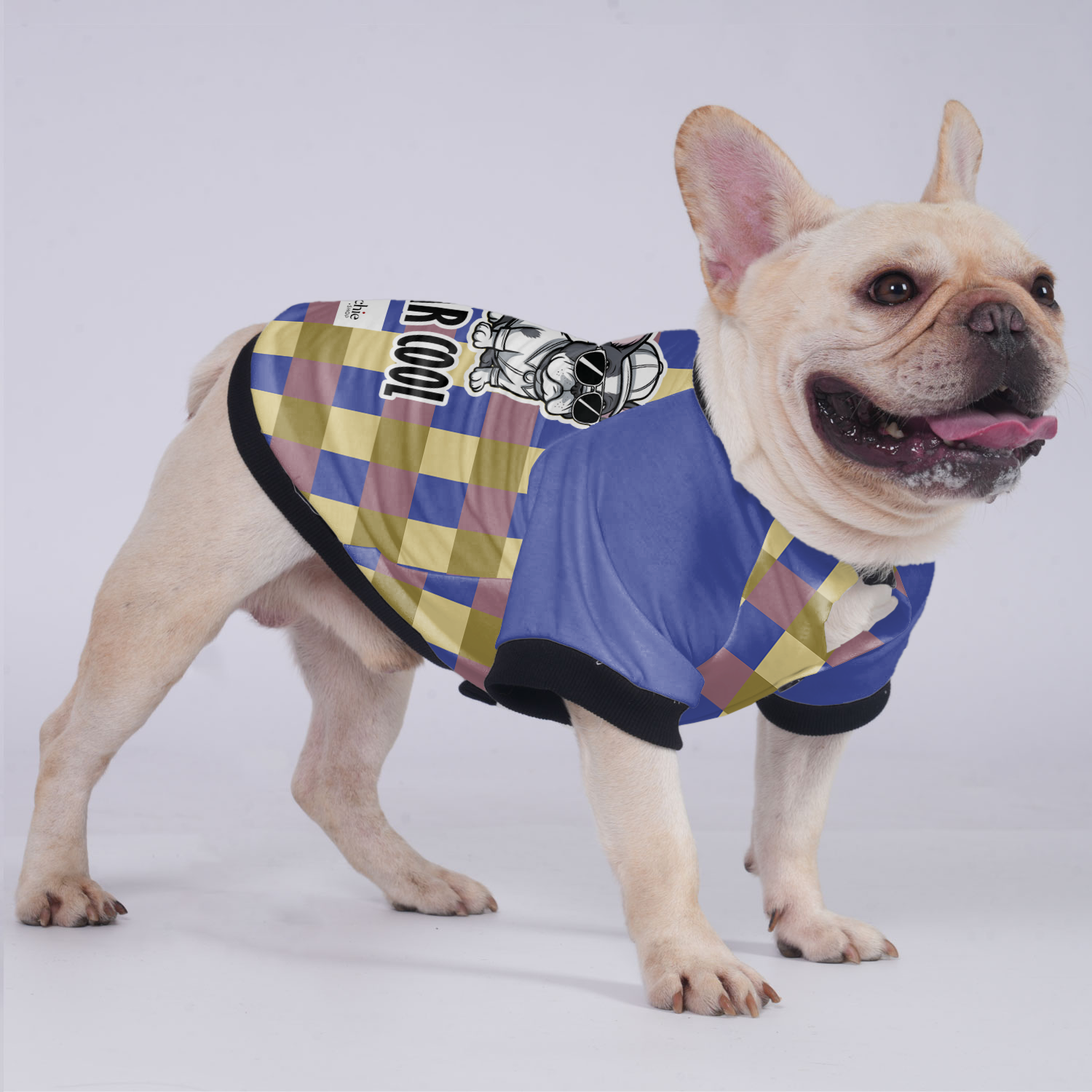 Everyday Mr Cool - Jacket For French Bulldog for Pet Enthusiasts