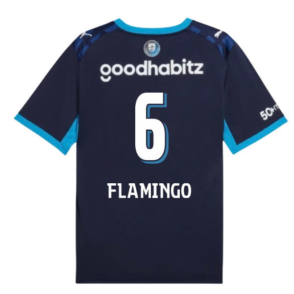 [DDJ] 2026-2027 PSV Eindhoven Third Shirt (Flamingo 6)