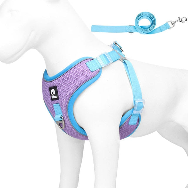 French Bulldog Frenchiekit™ Adjustable Frenchie Harness Leash Set Practical Dog Gear