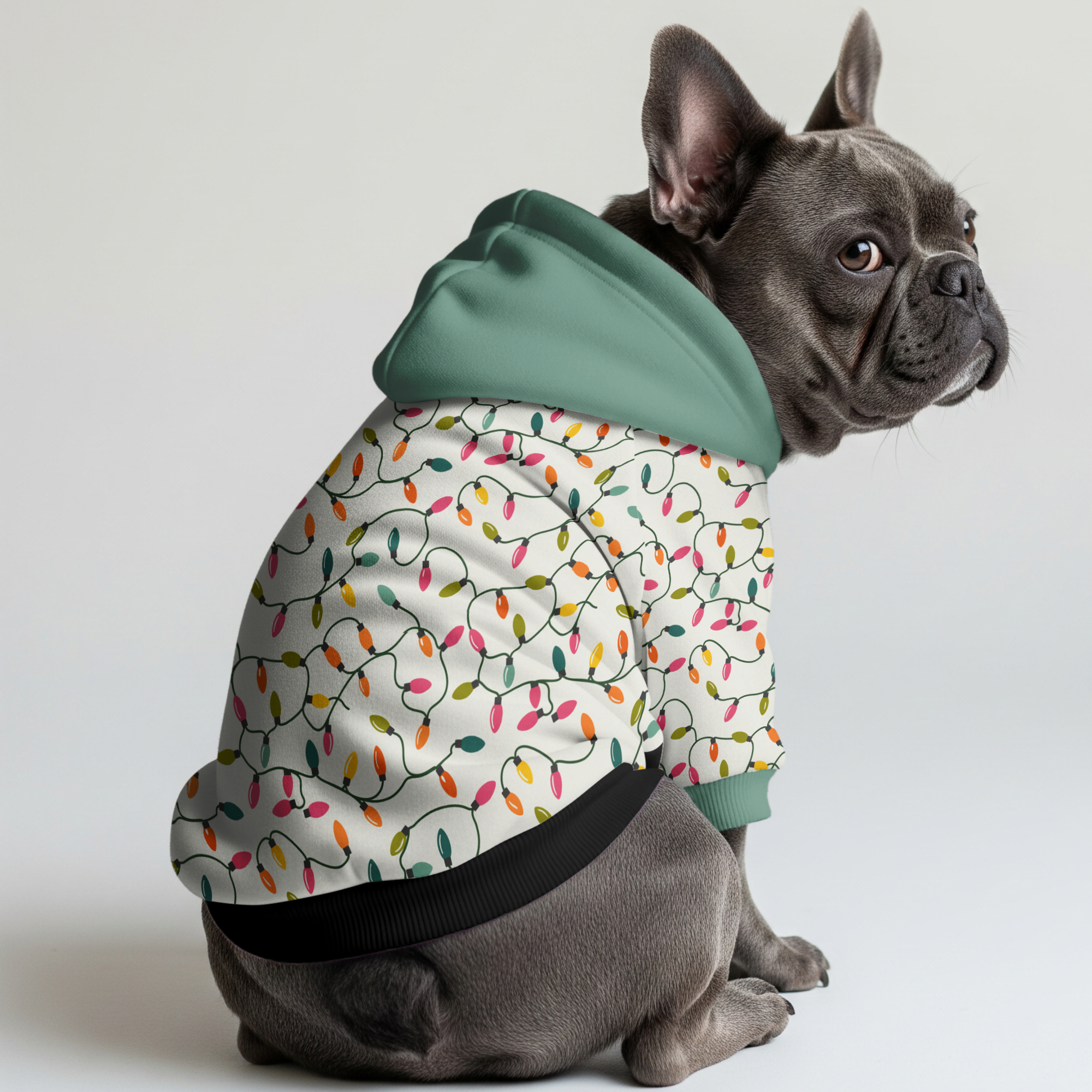 Casual Bruno - Stylish Frenchie Hoodie Pet Owner Apparel