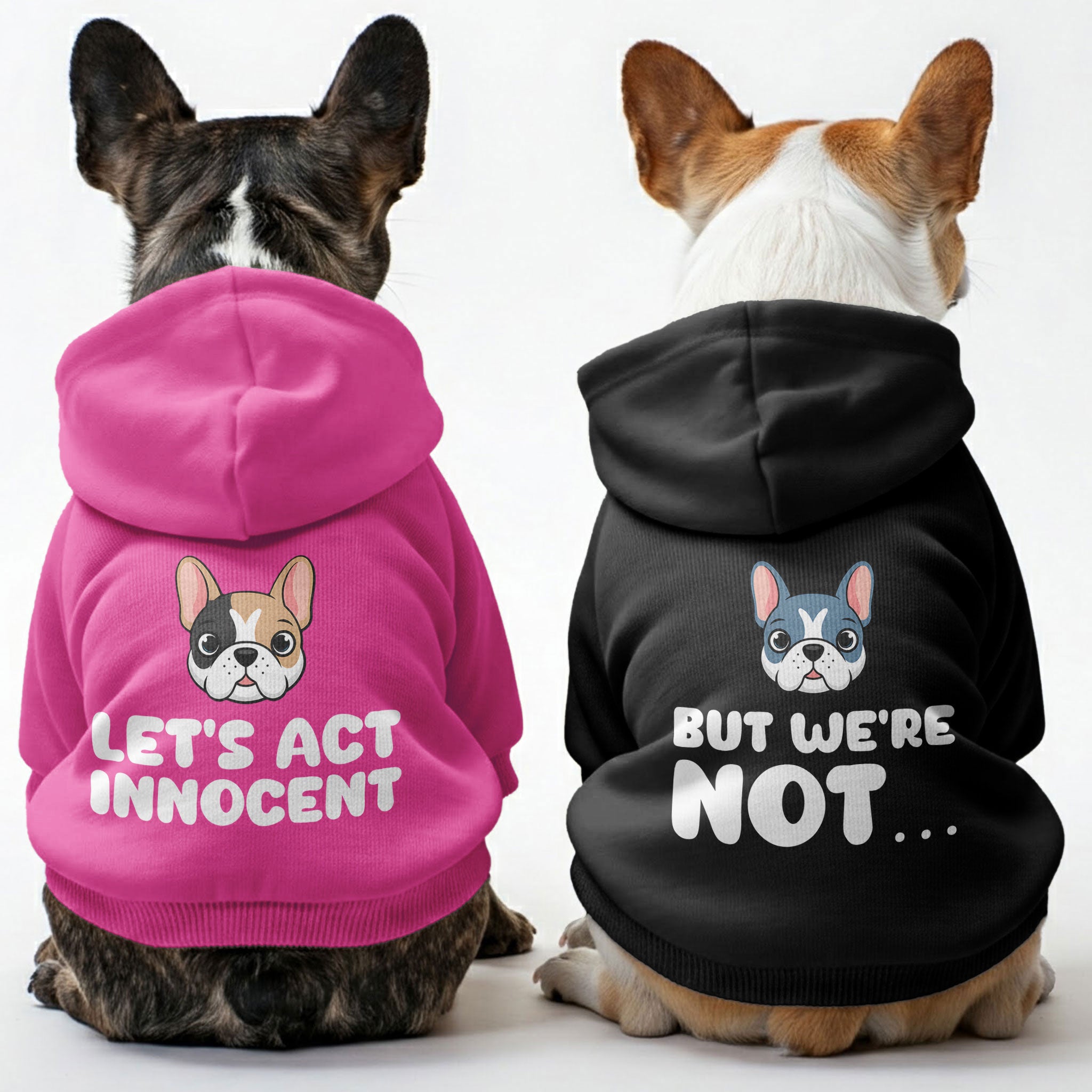 – Stylish, Cozy & Personalized! For Frenchie Fans | Unique Design