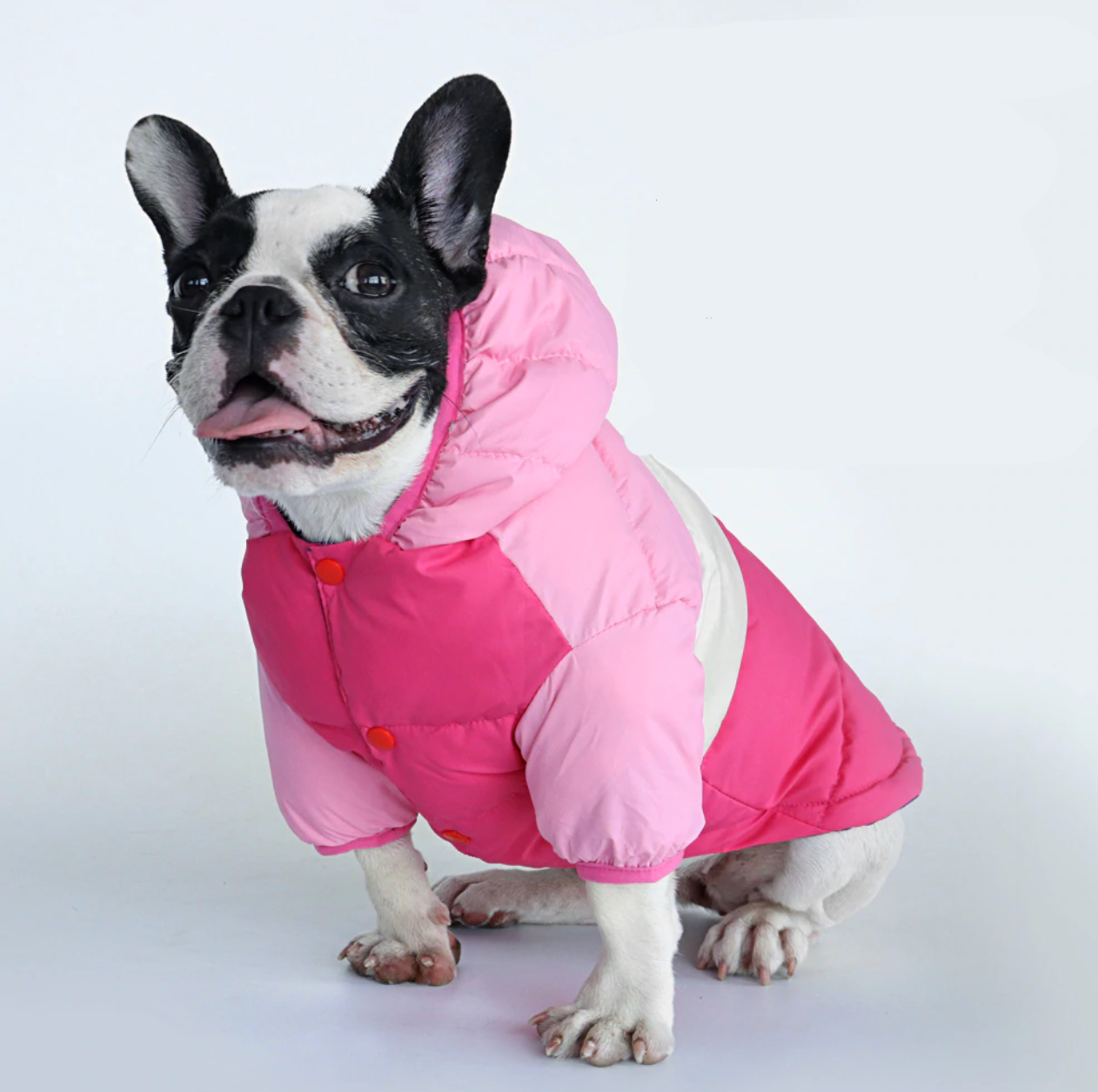 French Bulldog Winter Coat Waterproof Coat For French Bulldog (cs032) Warm Dog Outfit