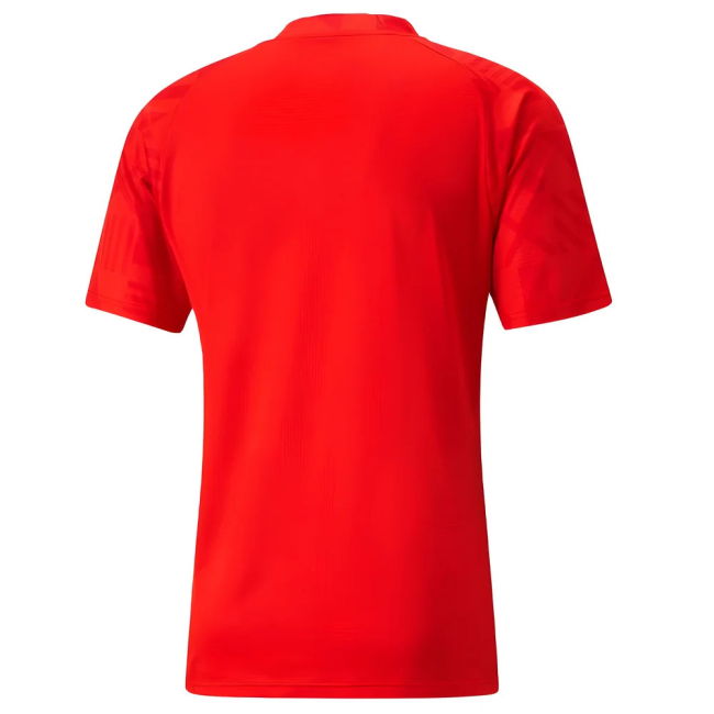 Adult Ghana Jersey 2022-2023