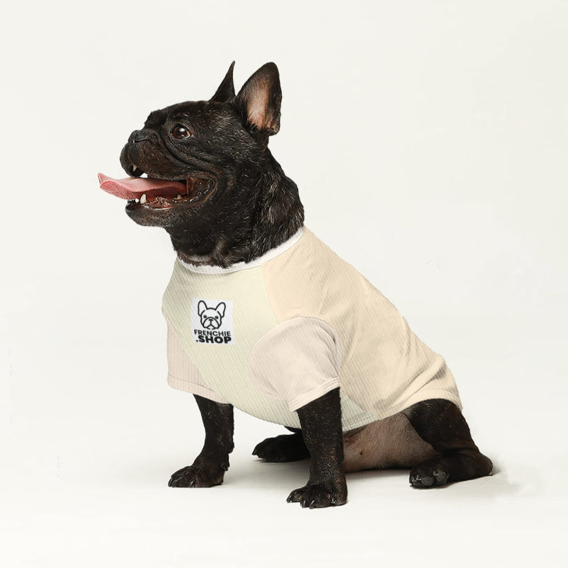 French Bulldog Jude Wool Sweater For Frenchies Cozy Pet Winter Wear