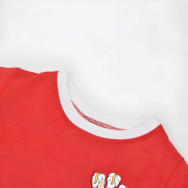 Wales T-Shirt Custom Name Youth Football Kit - World Cup Edition
