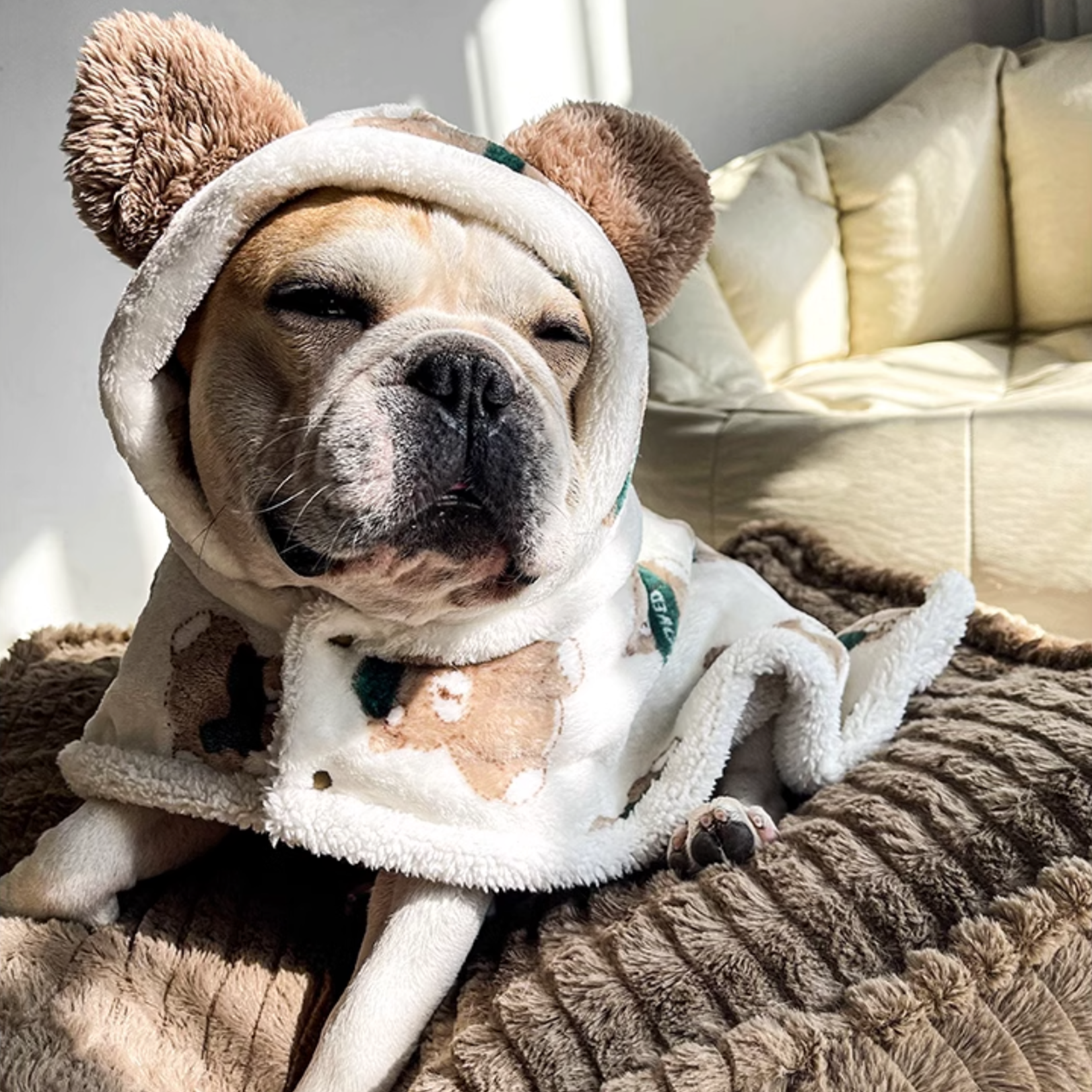 Everyday Cozy Large Bear Cape For Dogs - Warm Autumn & Winter Blanket...