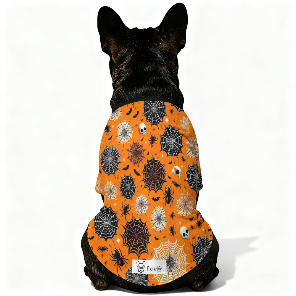 Fashion-Forward Morty - Wool Sweater For Frenchies for Pet Enthusiasts