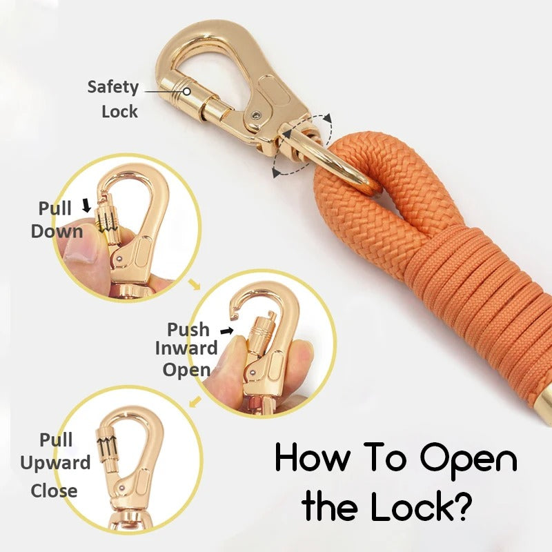 And Leash Set – Soft Adjustable And Custom Engraved For Frenchie Pups