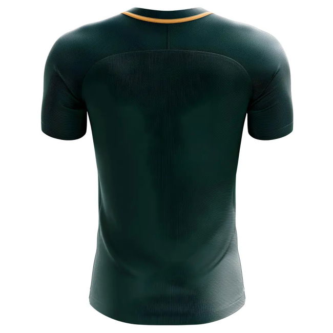 2025-2026 Nigeria Third Concept Football Shirt