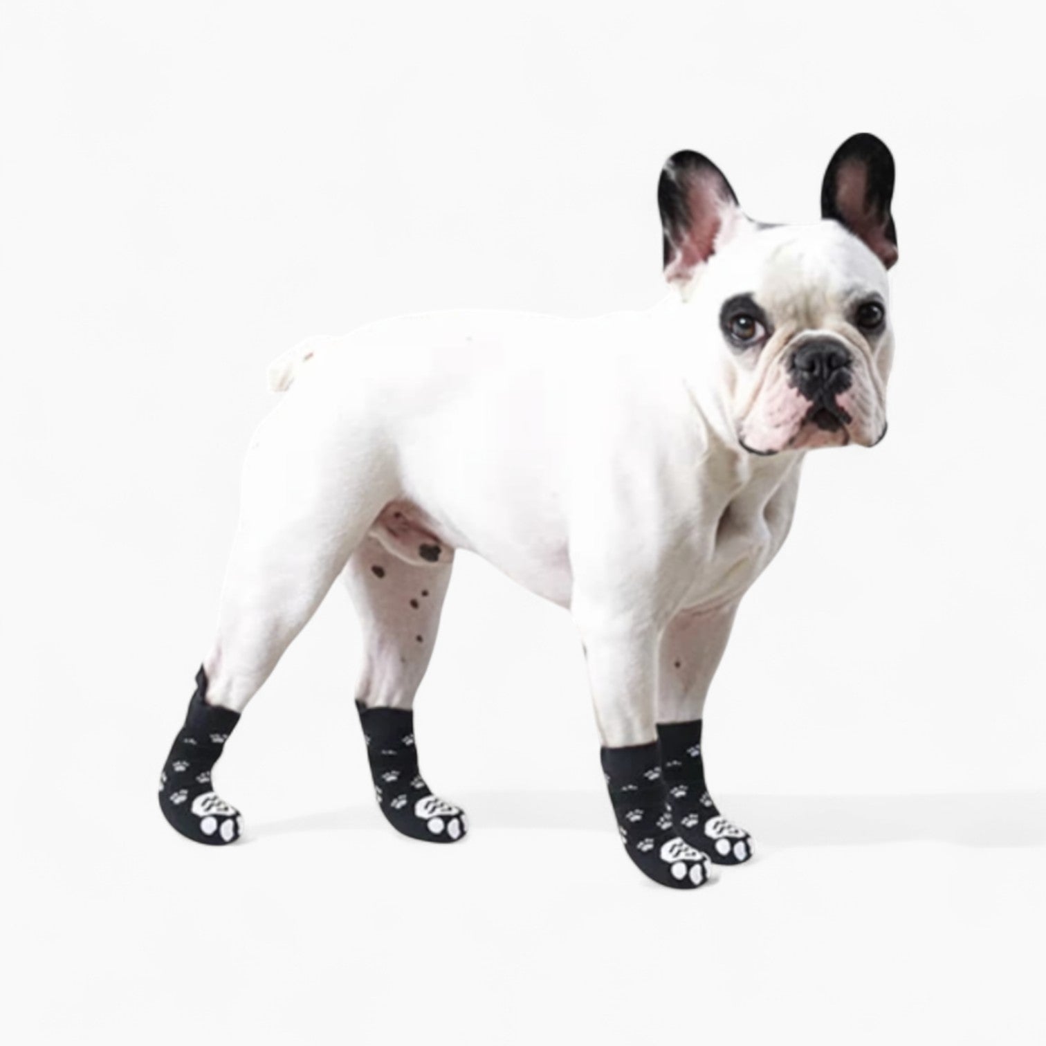 Adjustable Waterproof Paw Protectors Indoor Use | Vet-recommended