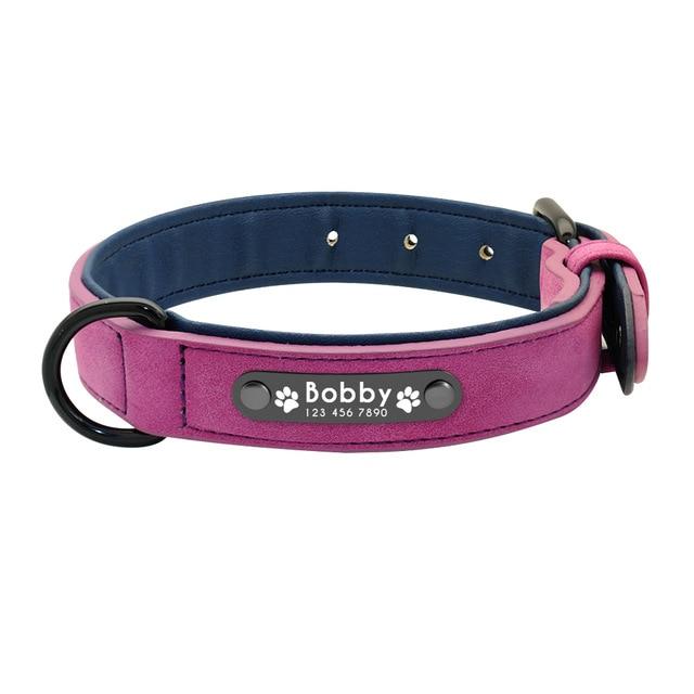 Personalized French Bulldog Collar