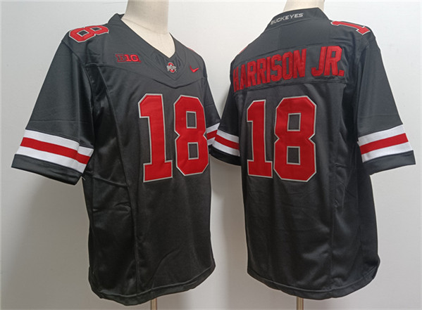 Men's Ohio St Buckeyes Black 2023 replica Marvin Harrison #18 match