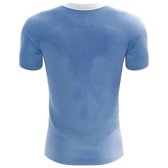 Game Replica Argentina Concept Fan Shirt (Adults) (Maradona 10) (1)