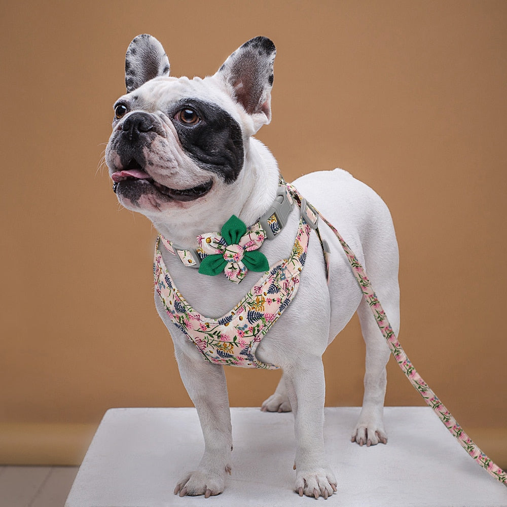 Flower Printed Harness Set for French Bulldog (WS243)