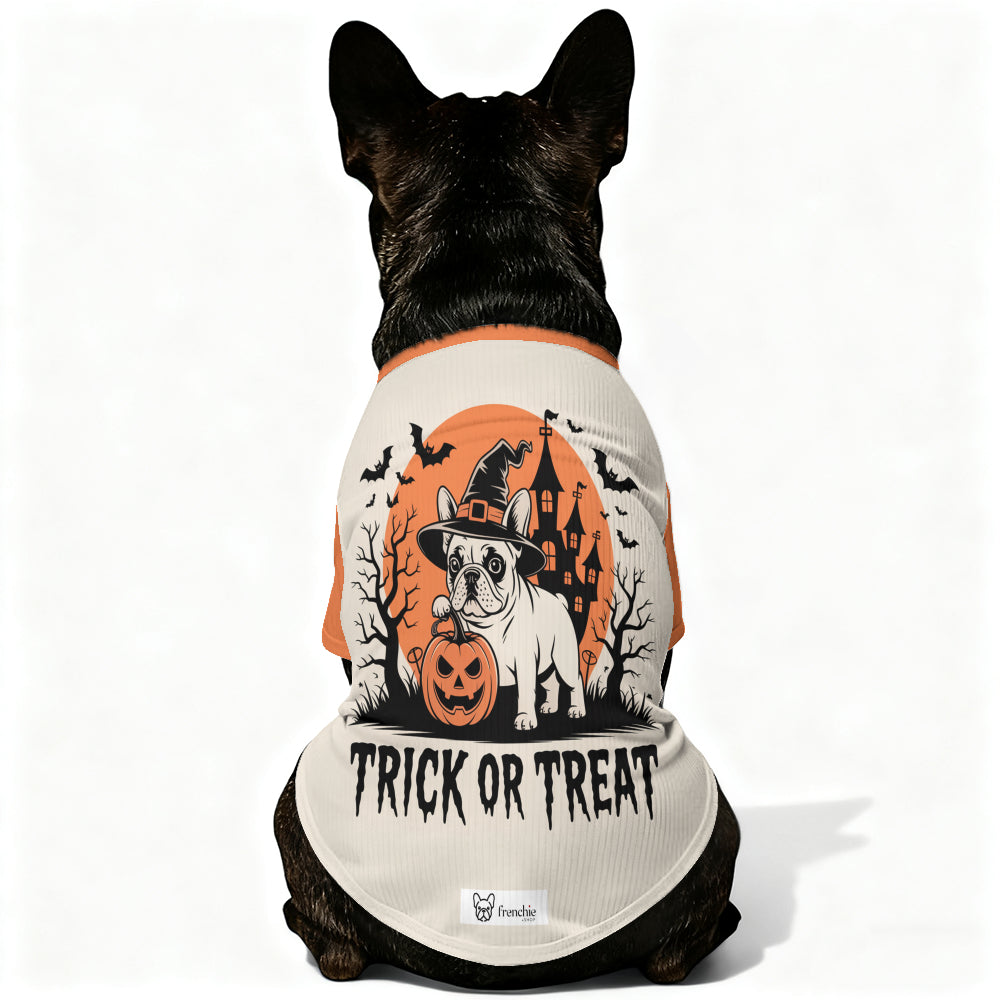 French Bulldog Laura Wool Sweater For Frenchies Soft Pet Apparel