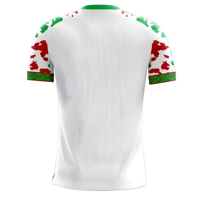Elite Myanmar 2025-2026 Home Concept Football Kit (Libero)