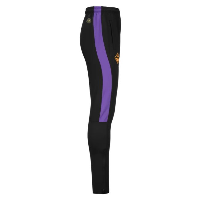 2025 Edition Performance Fiorentina Training Match Shirt