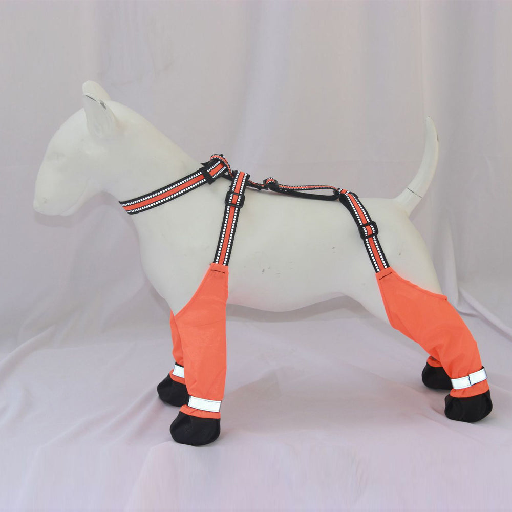 French Bulldog Lumipaws Frenchie Refective Shoes Claw Protector