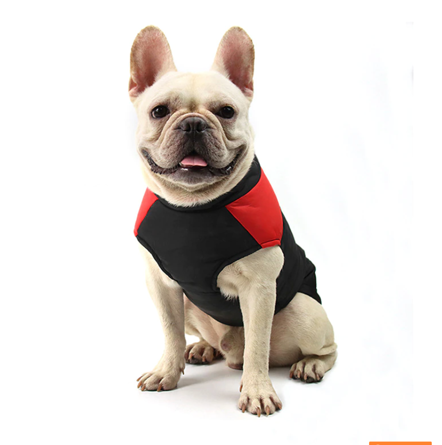 Vest Jacket For French Bulldog (cs020) Dog Supplies | Breed-optimized