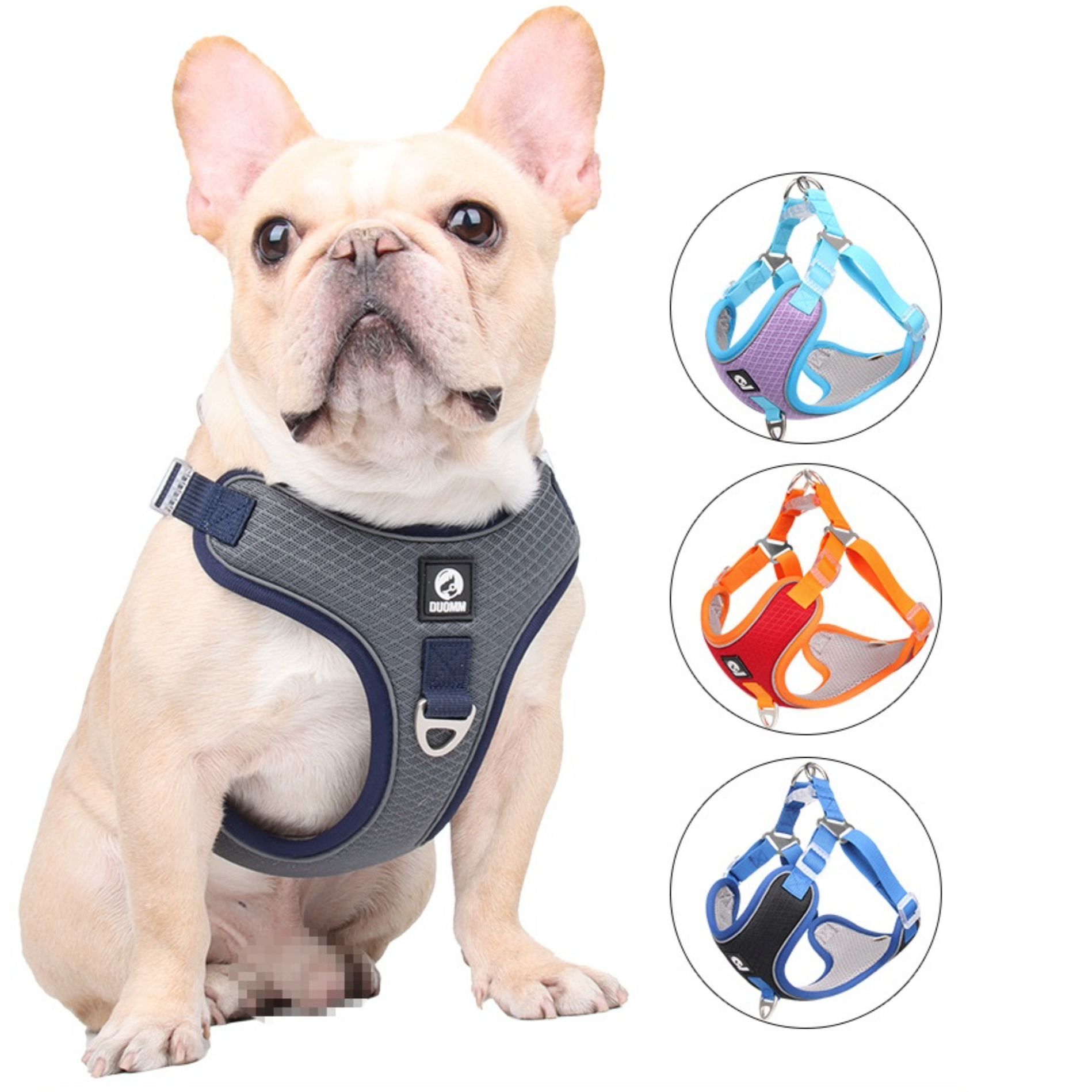 Frenchiekit™ - Adjustable Frenchie Harness Leash Set