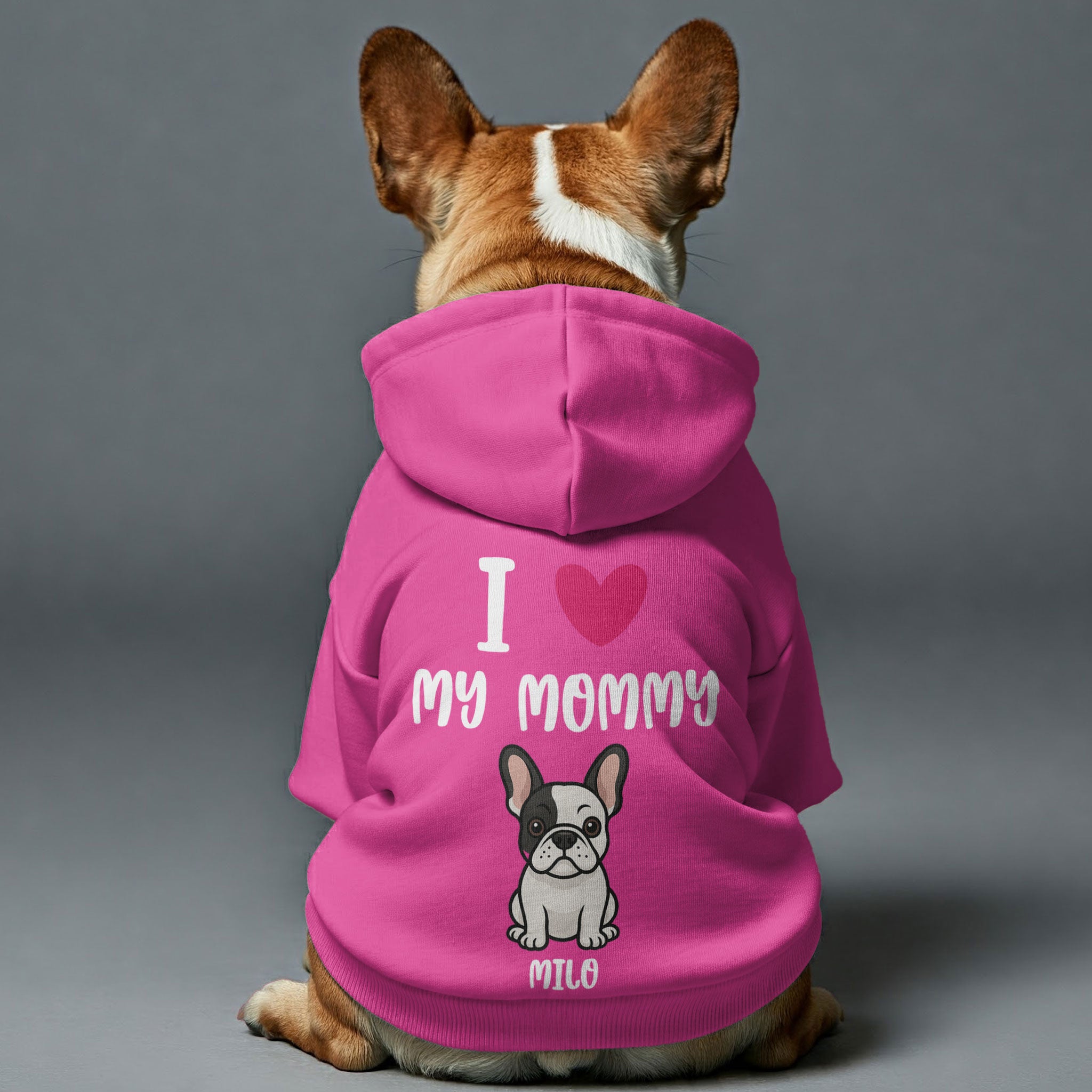 Everyday My Mommy - Personalized French Bulldog Hoodies With Funny Qu...